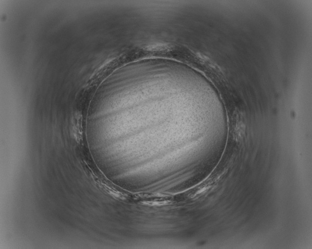 X0000062131301200512161141