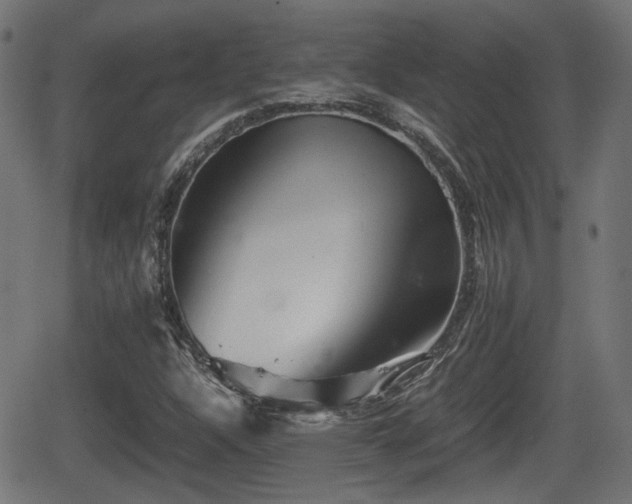 X0000062131304200512161141