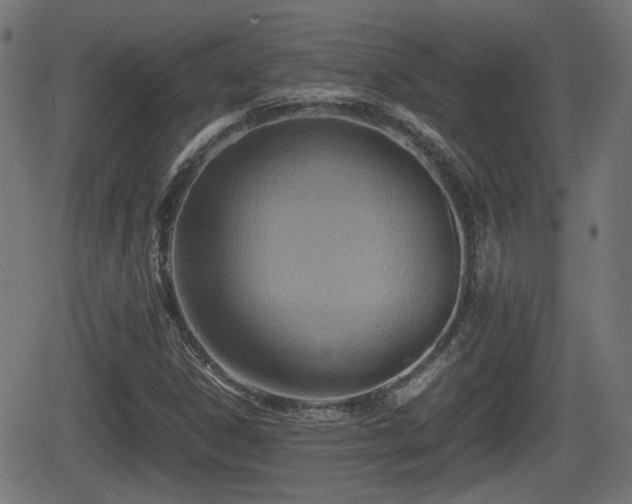 X0000062131306200512161141