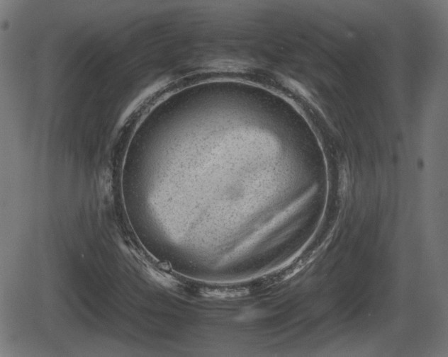 X0000062131307200512161141