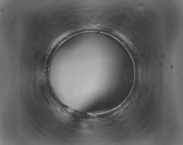 X0000062131308200512161141