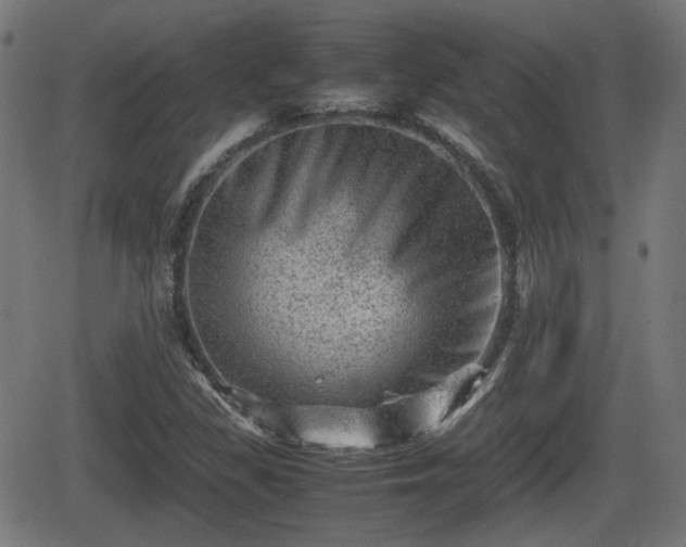 X0000062131309200512161141