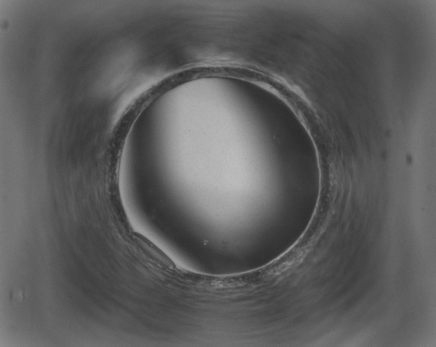 X0000062131311200512161141