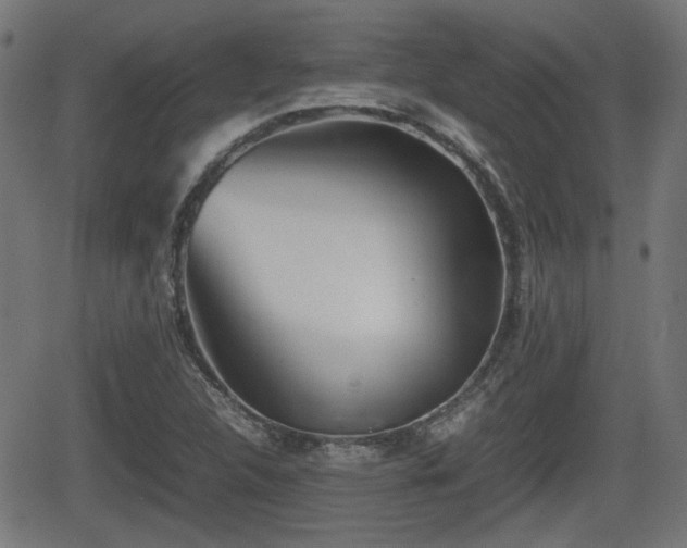 X0000062131312200512161141