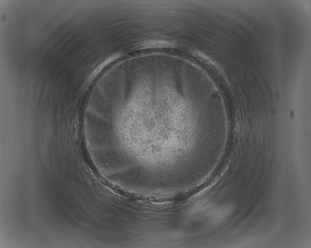 X0000062131313200512161141