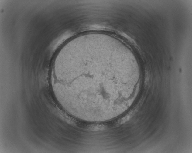 X0000062131314200512161141