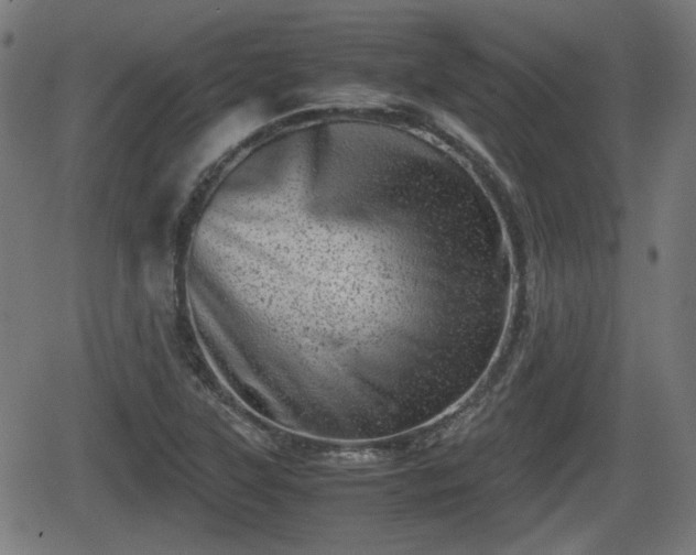 X0000062131315200512161142