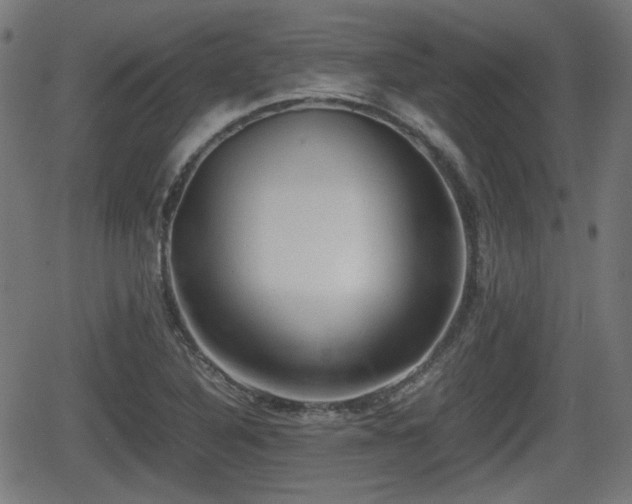 X0000062131316200512161142