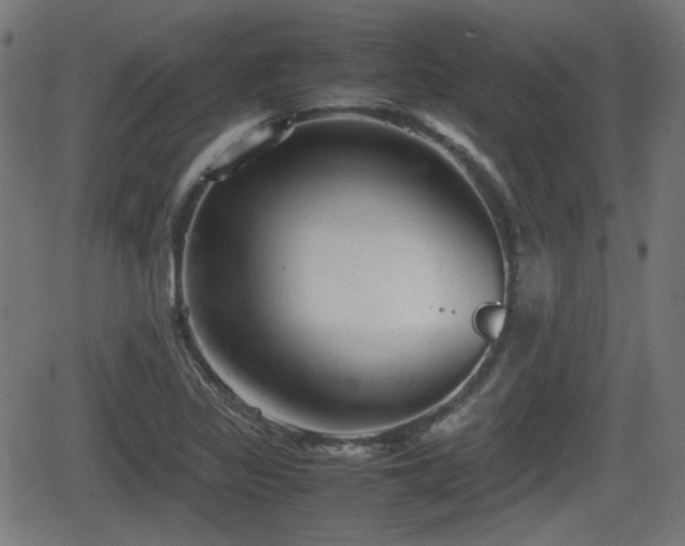 X0000062131317200512161142