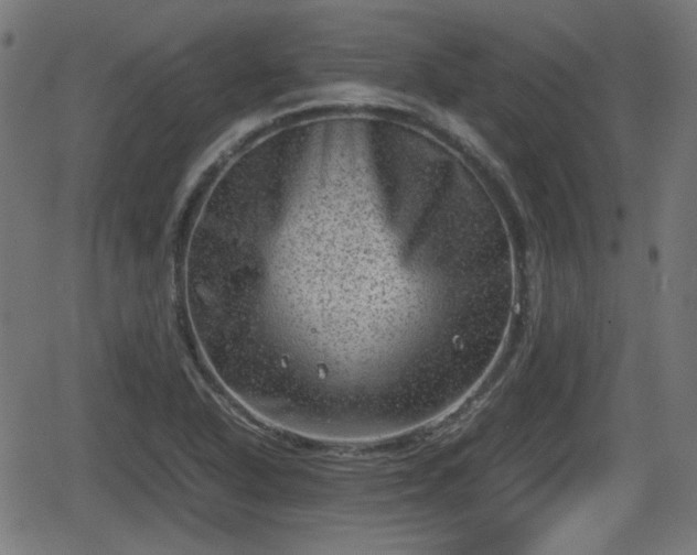 X0000062131318200512161142