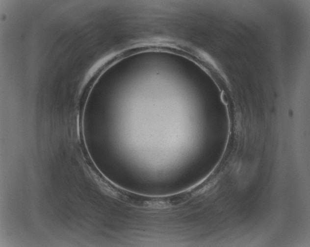 X0000062131320200512161142