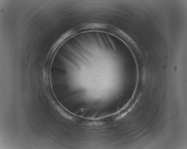 X0000062131321200512161142