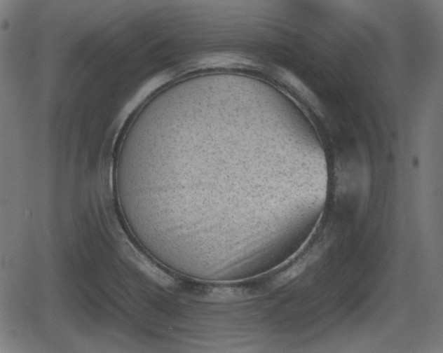 X0000062131322200512161142