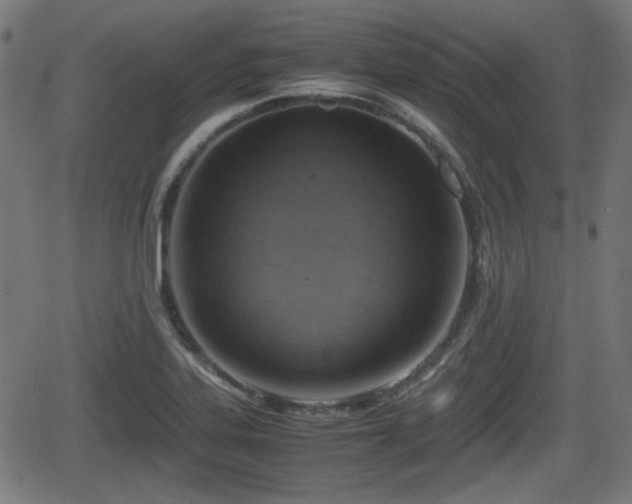 X0000062131323200512161142