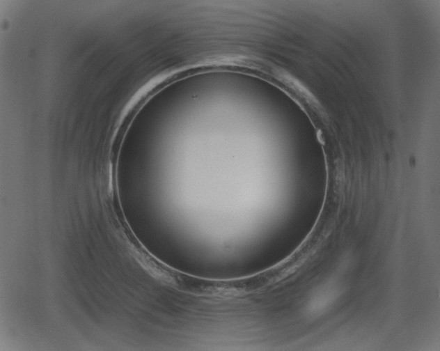 X0000062131324200512161142