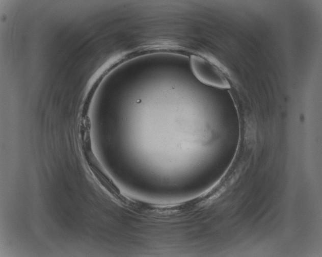 X0000062131325200512161142