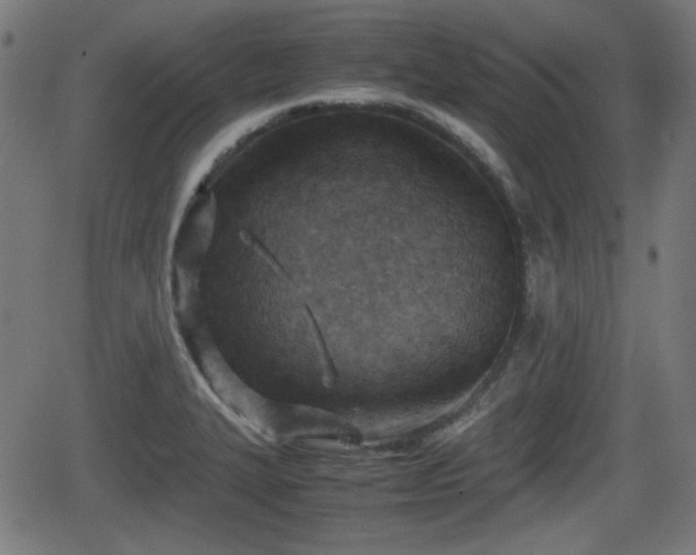 X0000062131327200512161142