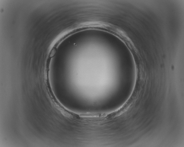 X0000062131328200512161142