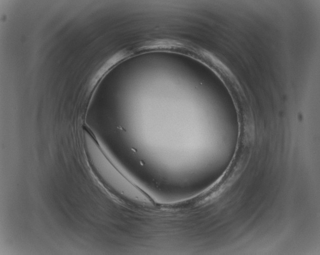 X0000062131329200512161142