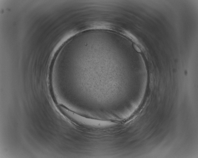 X0000062131331200512161142