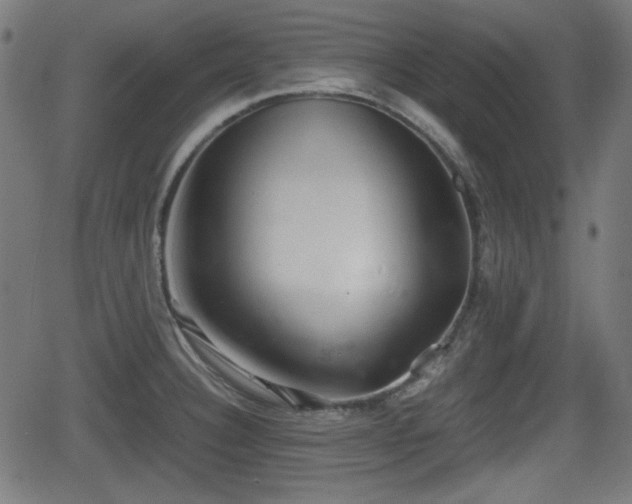 X0000062131332200512161142