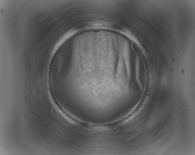 X0000062131333200512161142