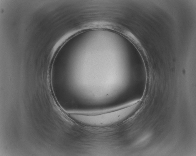 X0000062131336200512161142