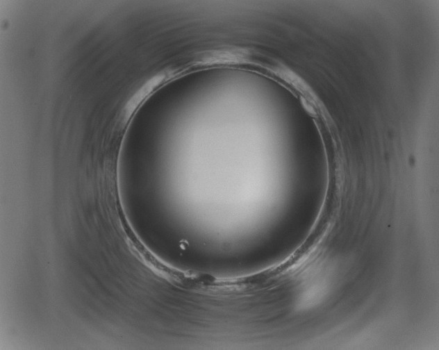 X0000062131337200512161142