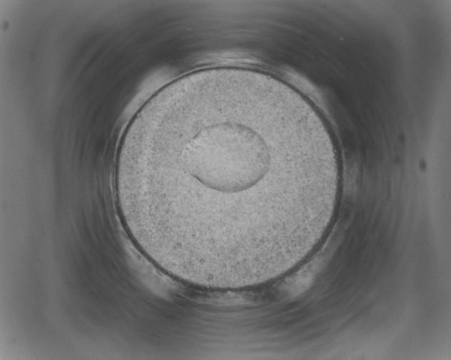 X0000062131338200512161142