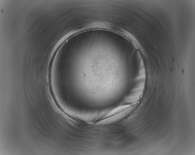 X0000062131339200512161142