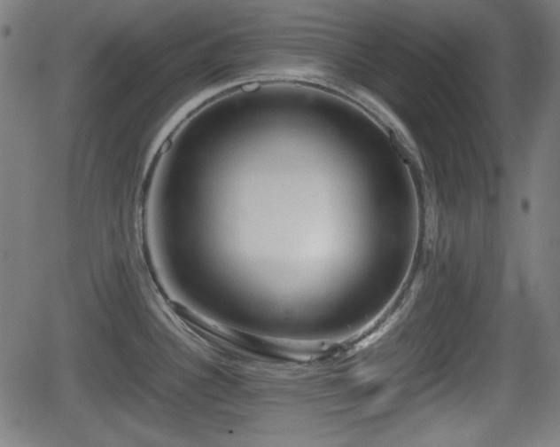 X0000062131340200512161142