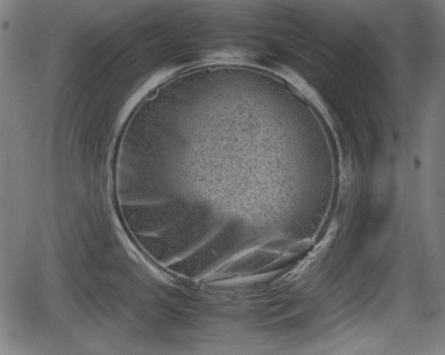 X0000062131341200512161142