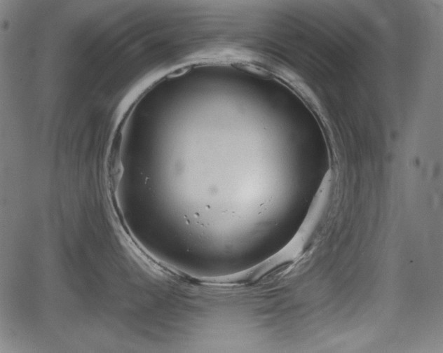 X0000062131344200512161142