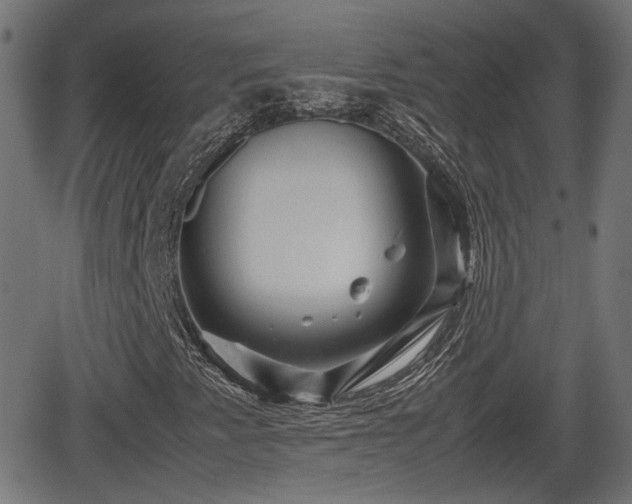 X0000062131345200512161141