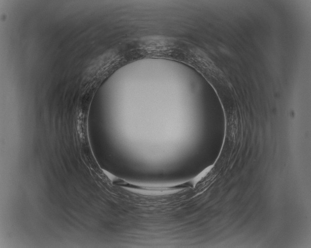 X0000062131346200512161141