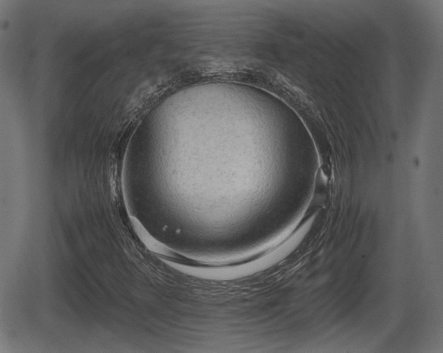 X0000062131348200512161141