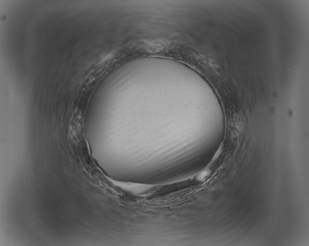 X0000062131349200512161141