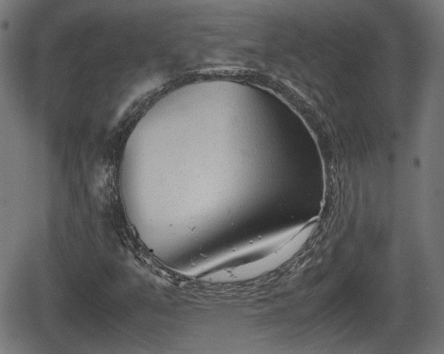 X0000062131351200512161141