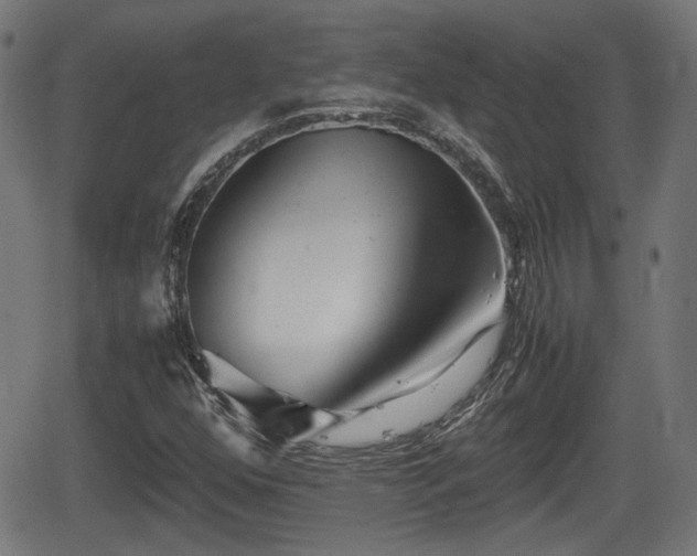 X0000062131352200512161141