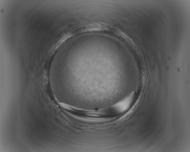 X0000062131353200512161141