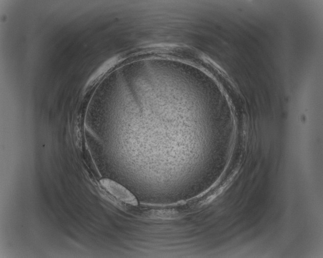 X0000062131354200512161141