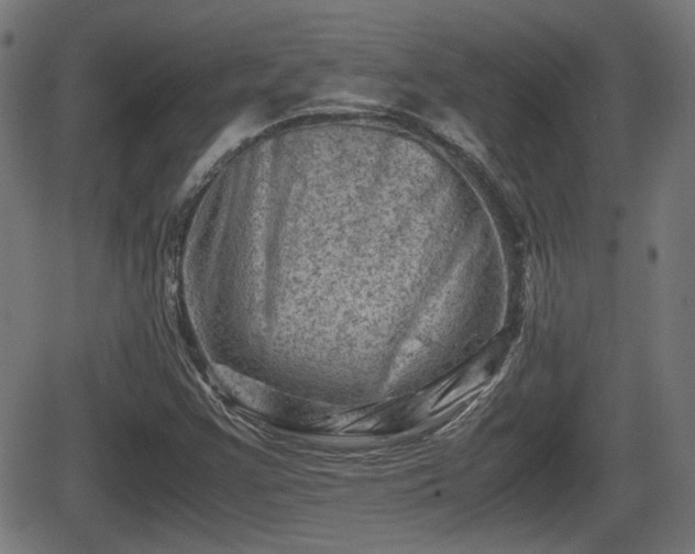 X0000062131355200512161141