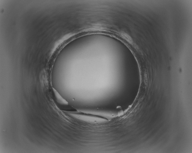 X0000062131356200512161141