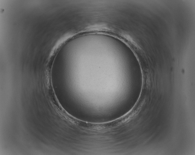 X0000062131358200512161141