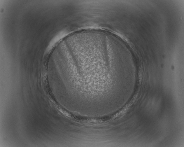 X0000062131359200512161141