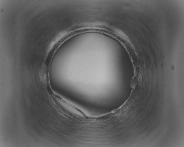 X0000062131360200512161141