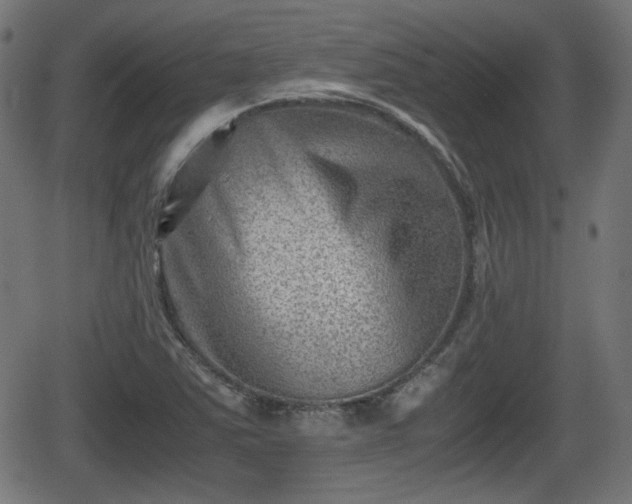 X0000062131363200512161141