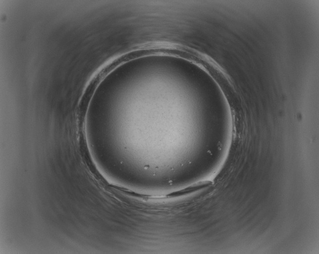 X0000062131364200512161141