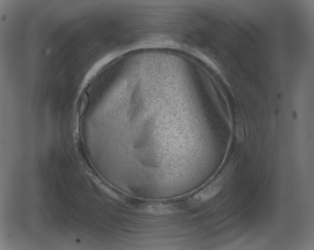 X0000062131366200512161141