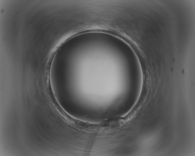 X0000062131367200512161141